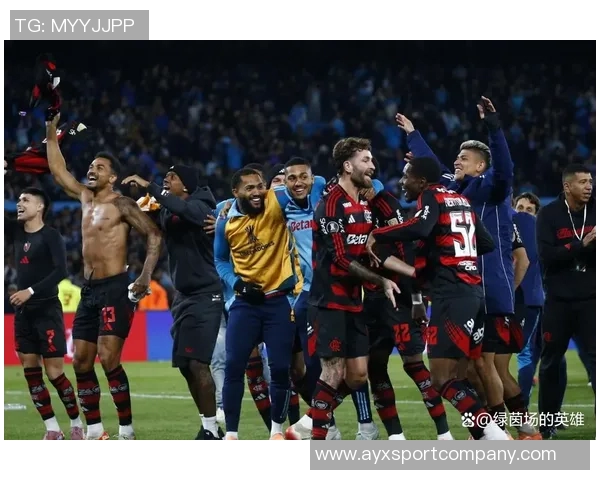 达尼洛进球助力弗拉门戈夺得解放者杯历史第四冠精彩瞬间回顾